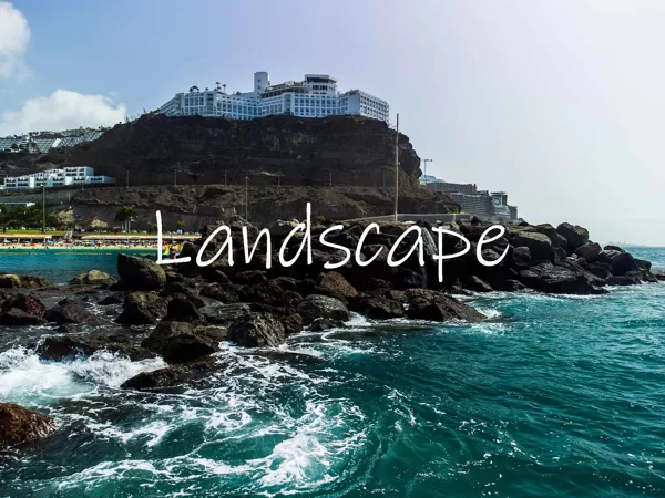 Landscape